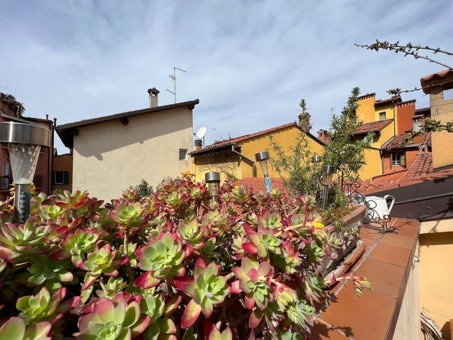 Margherita Apartment W/ Terrace Bolonia Zewnętrze zdjęcie